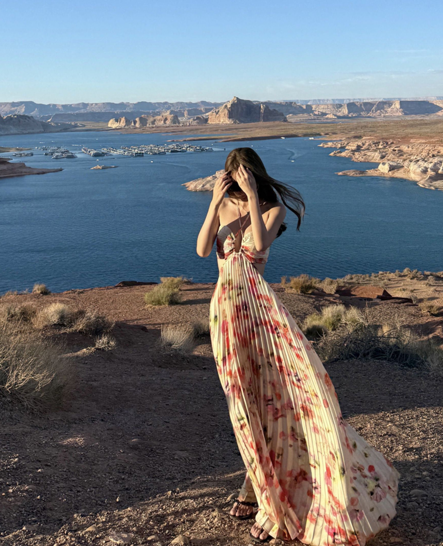 Odyssey maxi dress (preorder)