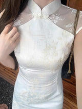 Veil cheongsam (preorder/ 2 colours)