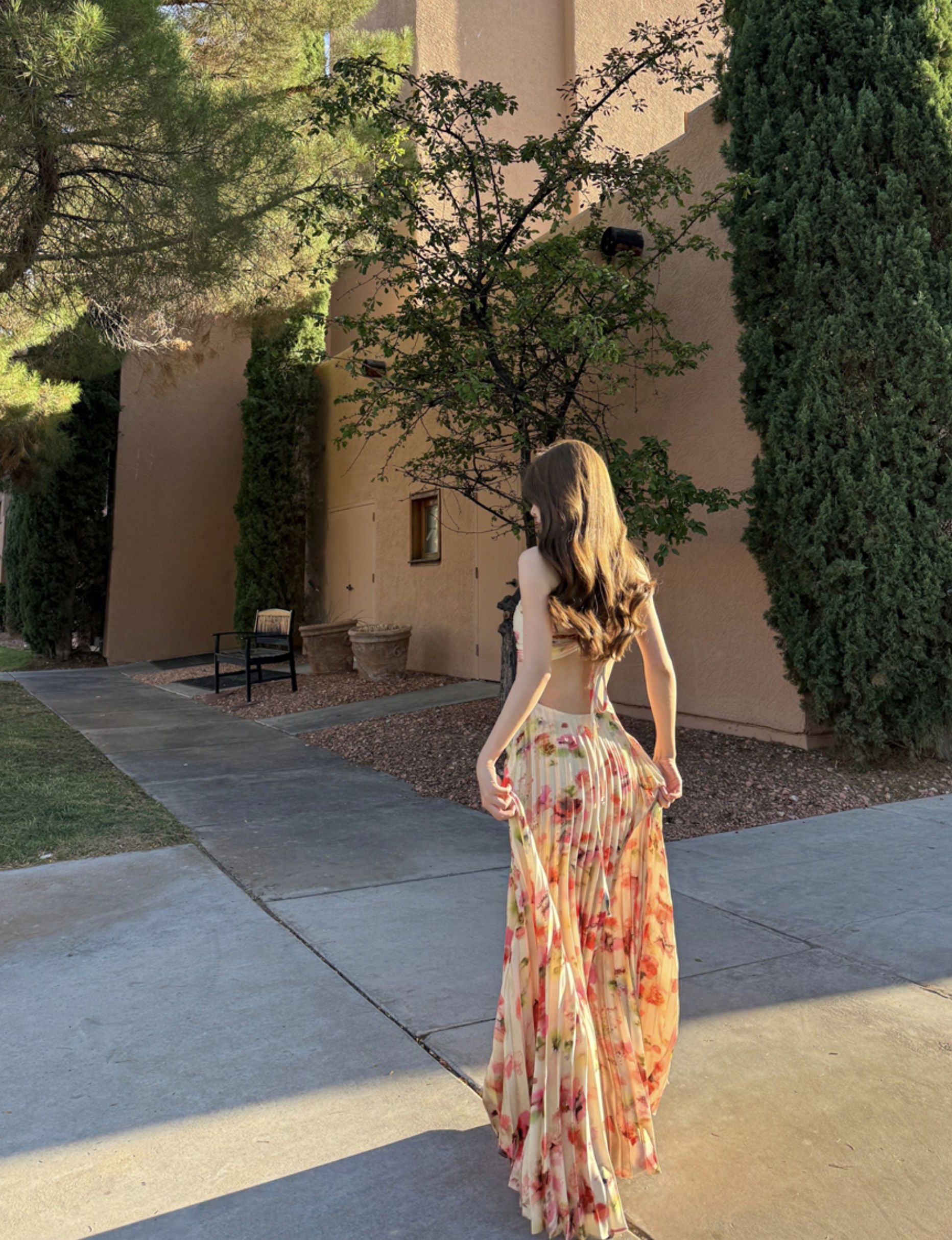 Odyssey maxi dress (preorder)