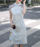 Veil cheongsam (preorder/ 2 colours)