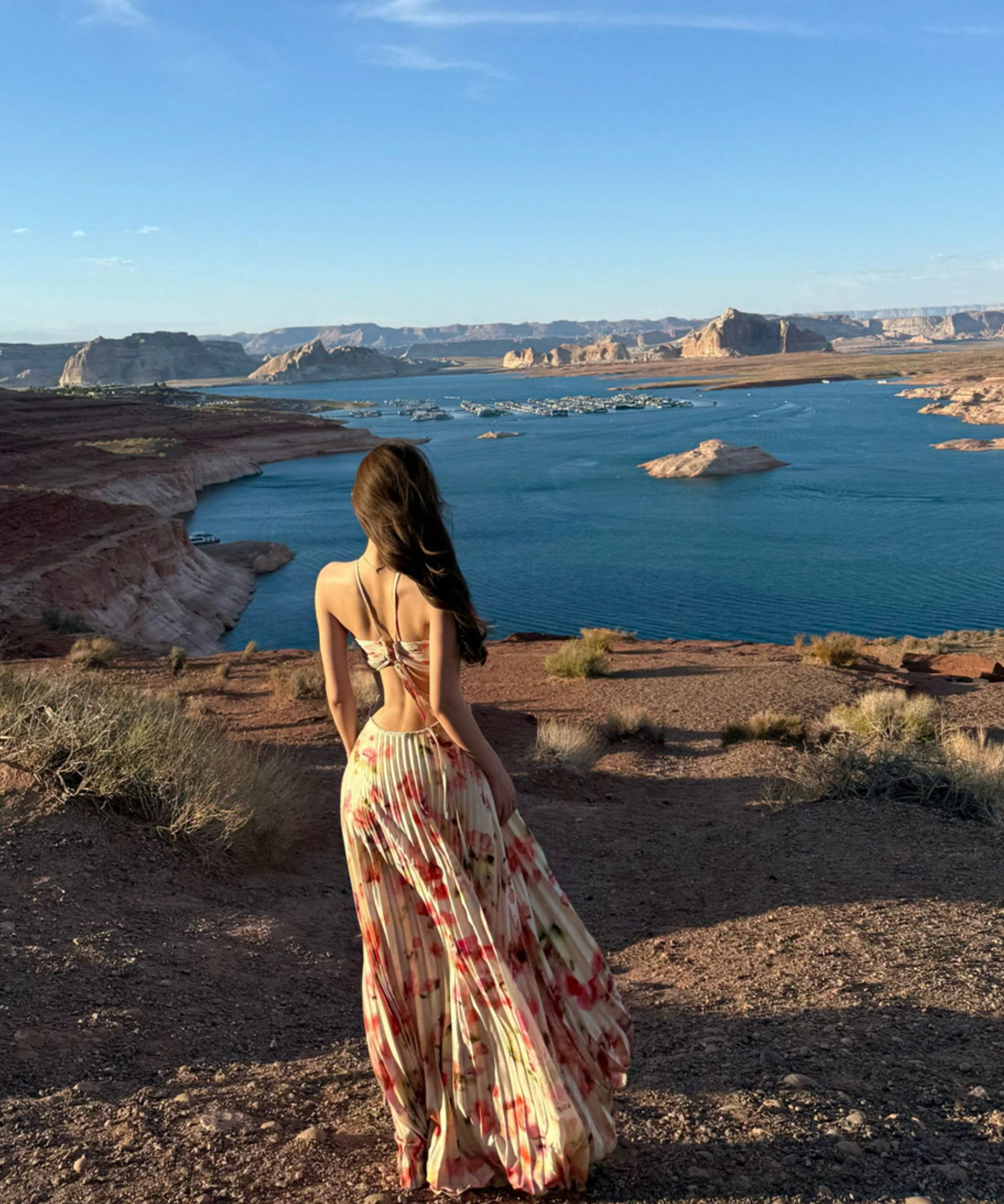 Odyssey maxi dress (preorder)
