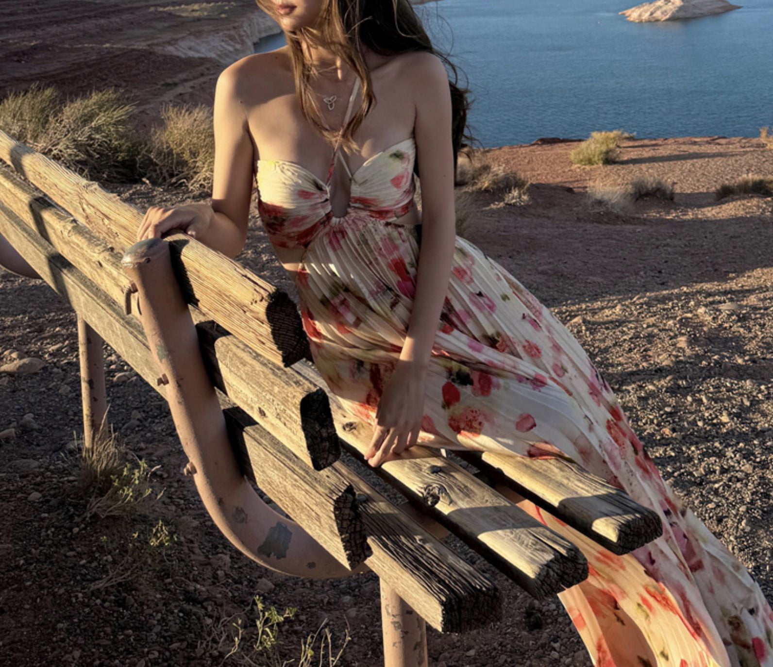 Odyssey maxi dress (preorder)
